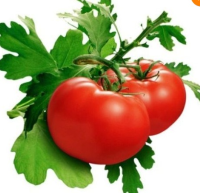 Tomato Seeds Organic Garden Vegetable Heirloom Crop Dry Seed