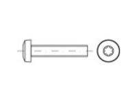 TOOLCRAFT 1068767 Lenskopschroeven M10 30 mm T profiel DIN 7985 RVS A2 200 stuk(s)