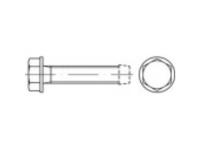 TOOLCRAFT 141108 Tapbouten M5 12 mm Buitenzeskant (inbus) DIN 7500 Staal Galvanisch verzinkt 1000 stuks