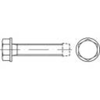 TOOLCRAFT 141133 Tapbouten M8 16 mm Buitenzeskant (inbus) DIN 7500 Staal Galvanisch verzinkt 500 stuks