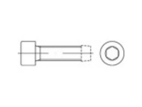 TOOLCRAFT 141306 Tapbouten M5 16 mm Binnenzeskant (inbus) DIN 7500 Staal Galvanisch verzinkt 2000 stuk(s)