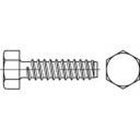 TOOLCRAFT 144621 Zeskant plaatschroeven 4.8 Mm 22 mm Buitenzeskant DIN 7976 Staal Galvanisch verzinkt 250 stuk(s)