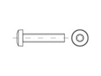 TOOLCRAFT 146076 Lenskopschroeven M4 5 mm T profiel DIN 7985 Staal Galvanisch verzinkt 200 stuk(s)