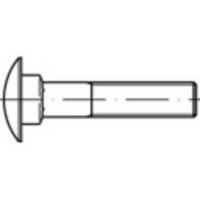 TOOLCRAFT 111609 Platbolschroef M16 50 mm Vierkant DIN 603 Staal Galvanisch verzinkt 50 stuk(s)