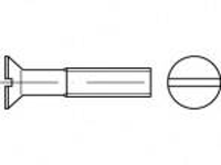 TOOLCRAFT TO 5361630 Verzonken schroeven M12 40 mm Sleuf ISO 2009 RVS A4 25 stuk(s)