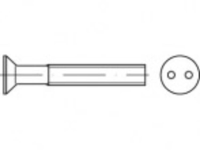 TOOLCRAFT TO 5379960 Veiligheidsschroeven M4 50 mm Tweegats 88112 RVS A2 100 stuk(s)