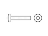 TOOLCRAFT TO 5440743 Lenskopschroeven M3 20 mm Binnen T Staal Galvanisch verzinkt 2000 stuk(s)