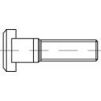 TOOLCRAFT x100 mm 100 stuk(s)