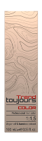 Toujours Trend Color 10.31 Extra Light Golden Ash Blonde