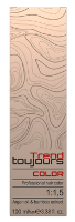 Toujours Trend Color 6.20 Dark Violet Blonde
