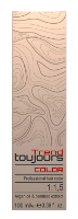 Toujours Trend Color 8.4 Light Copper Blonde