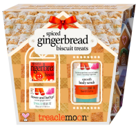 Treaclemoon Spiced Gingerbread Biscuit Treats Giftbox