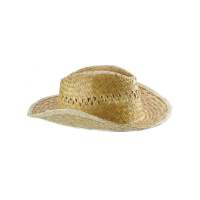Cowboy strohoed summer