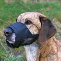 Muilkorf voor de hond Small