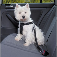Wandel  en Autoharnas met Gordel voor de hond M
