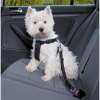 Wandel  en Autoharnas met Gordel voor de hond XL