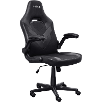 Trust GXT 703 Riye gamingstoel gamestoel