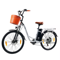 [EU DIRECT] TTGO C2 Elektrische Fiets 36V 14.5AH 250W Motor Aanbevolen Topsnelheid 25KM/U 26*1.95Inch Band 50 75KM Maxim