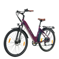 [EU DIRECT] TTGO C3 PRO Electrische Fiets 36V 20AH 250W Bafang Motor Aanbevolen Topsnelheid 25KM/U 28inch Band 80 120KM