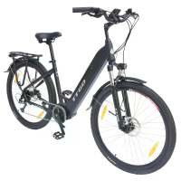 [EU DIRECT] TTGO LK ZZ 28ST Elektrische Fiets 36V 20AH Accu 250W Motor 700*45C Banden 180KM Max Mileage 125KG Max Laadge