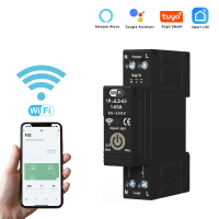 Tuya WiFi Intelligent Schakelaar 1P 63A Energie Monitor Real time Tracking Energieverbruik met Alexa Google Assistant Co