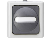 Uitschakelaar, Wisselschakelaar Blueelectric Kopp 560656006 1 Stuks Compleet Spatwaterdicht Grijs