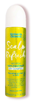 Umberto Giannini Scalp Refresh Anti Dandruff Dry Shampoo