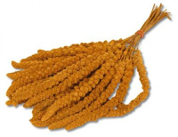 Vdm Concurrent Trosgierst Chinees #95;_15 Kg