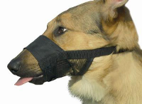 Muilkorf voor de hond Medium