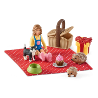 Verjaardags Picknick