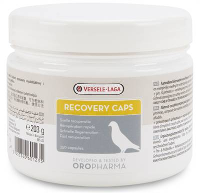 Zzzversele Laga Oropharma Recovery Caps #95;_350 St