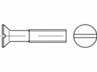 TOOLCRAFT TO 5392377 Verzonken schroeven M12 45 mm Sleuf Staal Galvanisch verzinkt 100 stuk(s)