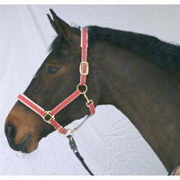 Veulenhalster Exclusiv #95;_Exclusiv Xxs Rood