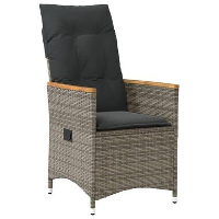 VidaXL   Tuinstoel   Grijs   Poly rattan