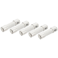 Vigor V4324 1 V4324 1 Buiszekering 250 mA 250 V Inhoud 1 stuk(s)