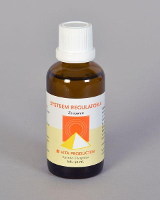 Vita Systeem Regulator A