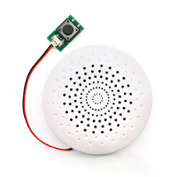Voice Prompt Speaker DC5V Actieve Speaker Buzzer 8M 1W Digitale Audio Amplifier USB MP3 Afspelen Oplaadbaar voor DIY Ele