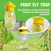 Vruitvliegval Killer Drosophila Val Vlieg Boomgaard Anti Fruit Vangsysteem Pest Vliegval Controle Boomgaard Hangende Ins