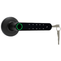 Tuya blutooth Elektronisch Smart Deurslot Intelligente Anti diefstal Gateway Smart Handvat met Halfgeleider Vingerafdruk