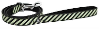 Wag 'n' Walk Hondenriem Mint Gestreept Groen #95;_100x2 Cm