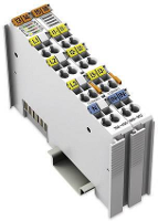 WAGO 750 495/000 002 Analoge PLC ingangsmodule 750 495/000 002 1 stuk(s)