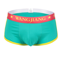 Wangjiang Mens Mid Low Waist Sexy Casual Underwear U Convex Pouch Letter Printing Boxers