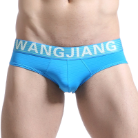 Wangjiang Mens Sexy Breathable Super Thin U Convex Pouch Ice Silk Briefs Underwear