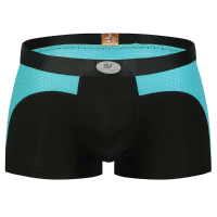 Wangjiang Sexy Mesh Nylon Stitching Breathable U Convex Boxer Underwear For Men