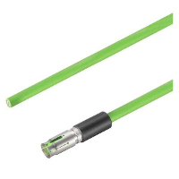 Weidmüller 2003864000 Sensor/actuator dataconnector, geassembleerd Aantal polen (sensoren): 8 Bus, recht 40.00 M 1 stuk(s)