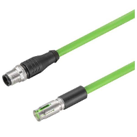 Weidmüller 2503820150 Sensor/actuator dataconnector, geassembleerd M12 Aantal polen (sensoren): 8 Bus, recht 1.50 M 1 stuk(s)