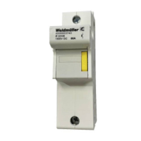 Weidmüller 4000003740 Zekering serieklem Schroeven Wit 6 stuk(s)