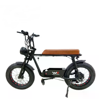 [EU Direct] WOLKENHEMEL WKEM003 Elektrische Fiets 48V 18Ah Batterij 1200W Motor 20*4.0 Inch Banden 40 50KM Bereik 200KG