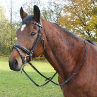 Westernhoofdstel Missouri #95;_Hoofdstel Missouri Bruin Pony