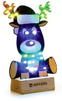 Whadda WSPXL101 LED bouwpakket